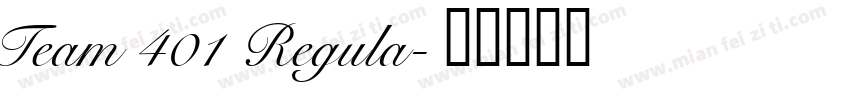 Team 401 Regula字体转换